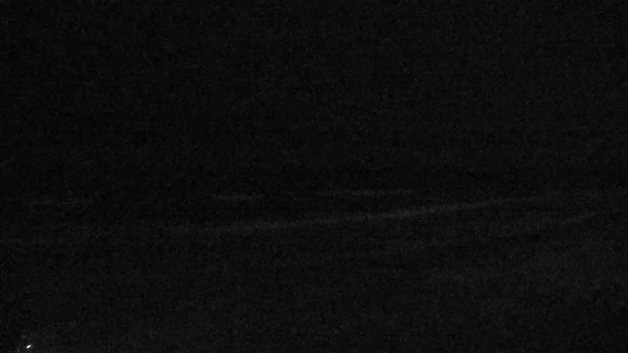 Whale's Tail Beach Bar & Grill Cam  Miramar Beach Michael (2018)