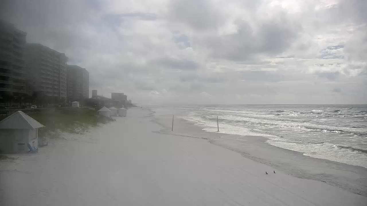 Whale's Tail Beach Bar & Grill Cam  Miramar Beach Michael (2018)