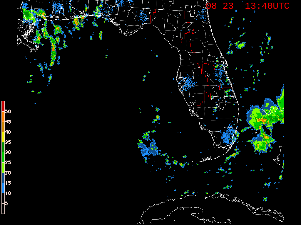 Florida Radar Recording From SFWMD for 98L (Aug 2019)
