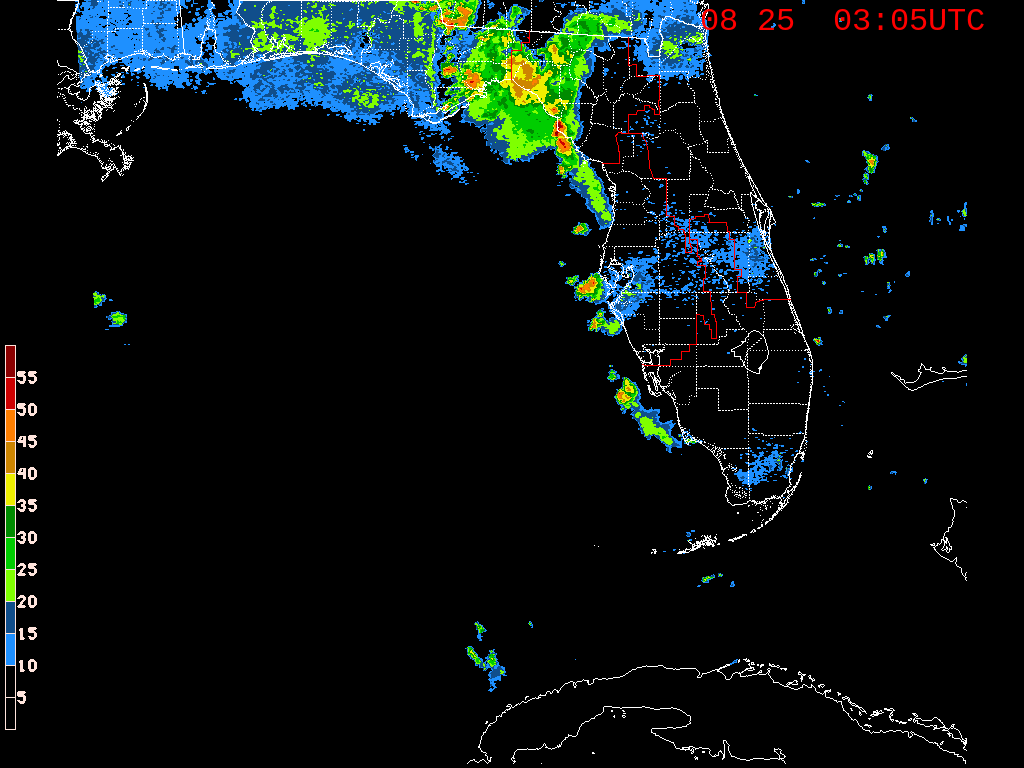 Florida Radar Recording From SFWMD for 98L (Aug 2019)