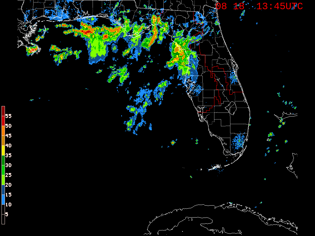 Florida Radar Recording From SFWMD for Gulf Area (Aug 17 2019)