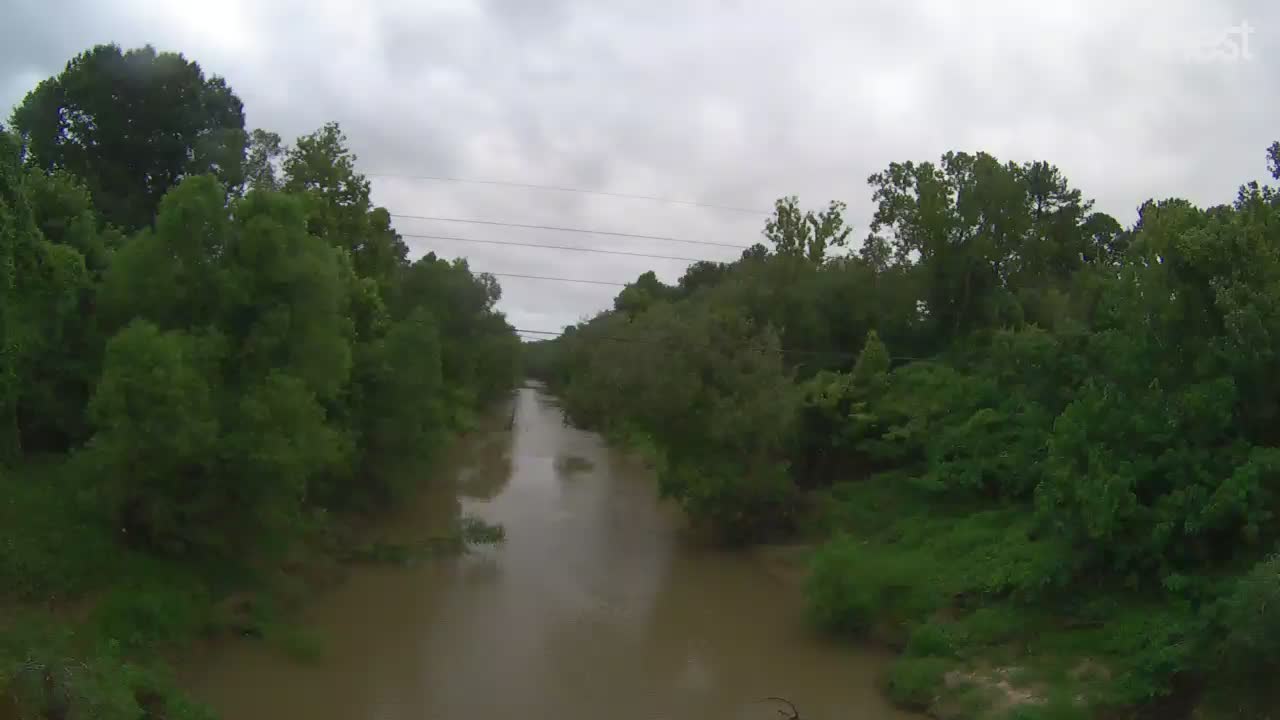 Baton Rouge/Comite Rive, LA Hurricane Track Cam 5 Recording Barry (2019)