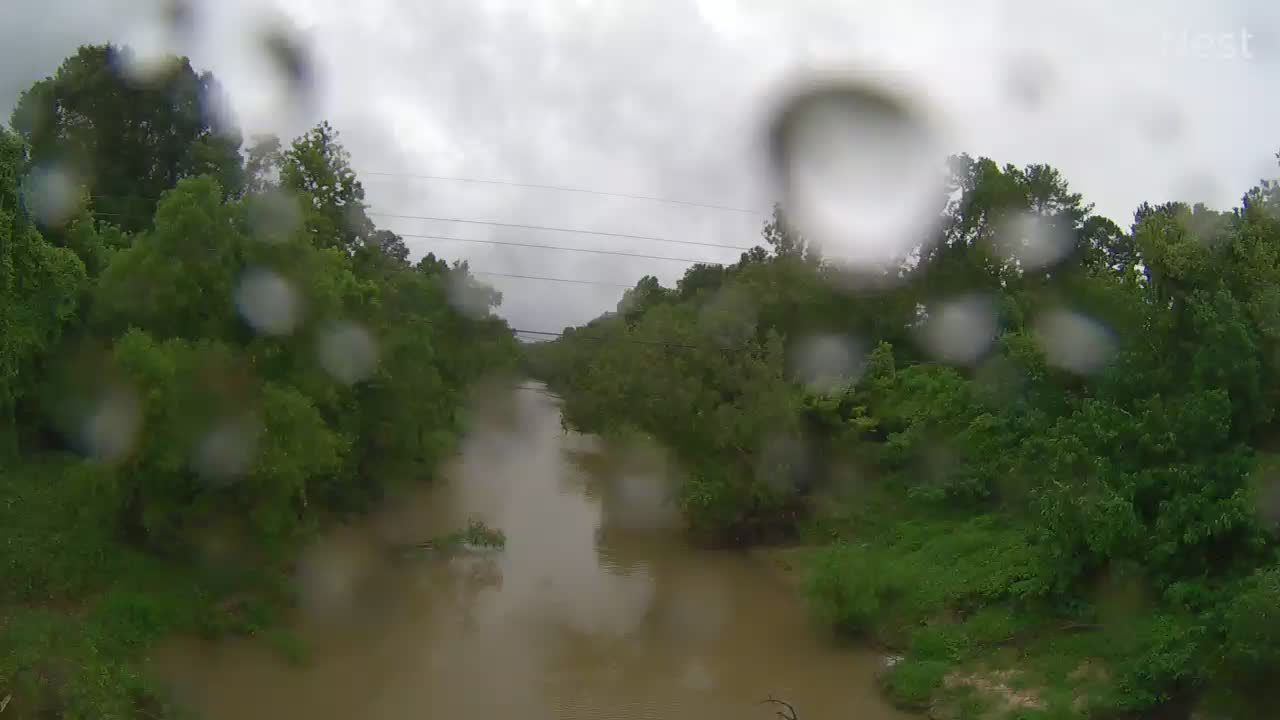 Baton Rouge/Comite Rive, LA Hurricane Track Cam 5 Recording Barry (2019)