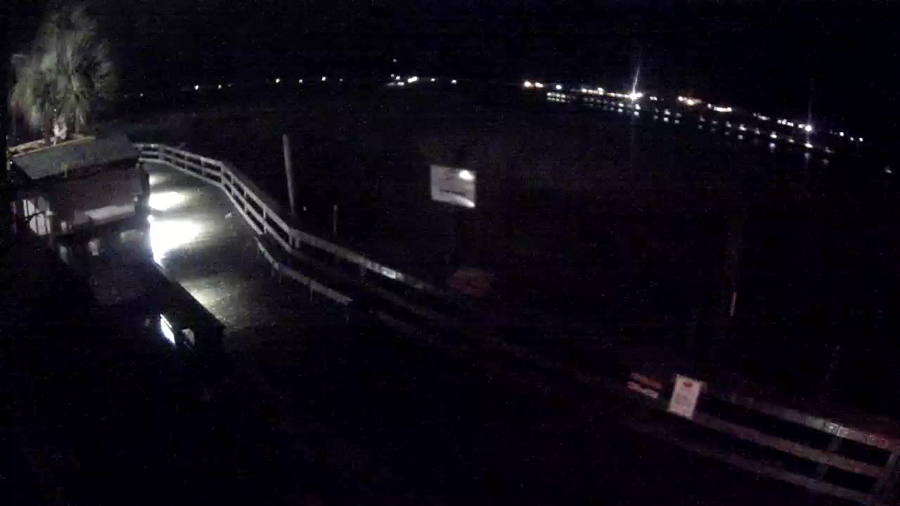 Murrells Inlet Cam - Dead Dog Saloon Marsh Walk Cam Dorian (2019)