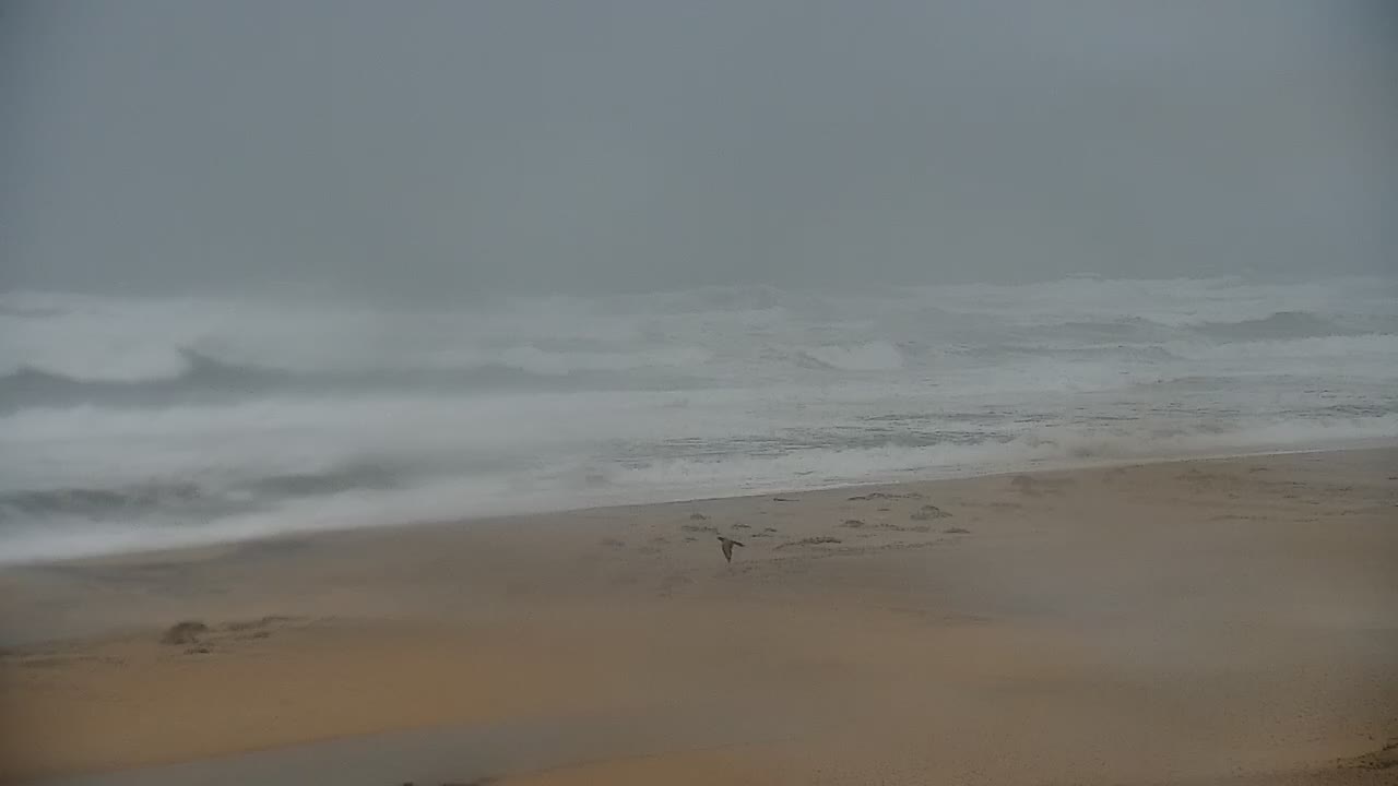 Jennette's Pier Nags Head, NC Cam 3 for Dorian Approach (2019)
