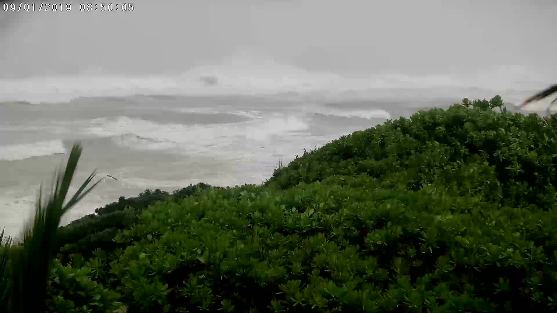 Rocky Bay Cam, Abaco Island, Bahamas Cam Dorian (2019)