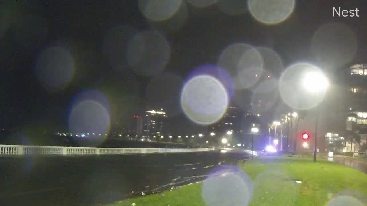 Bayshore Dr, Tampa, FL Eta (2020)