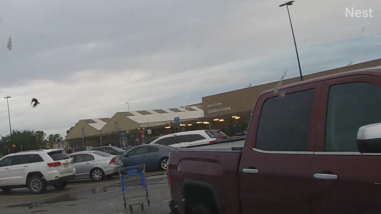 Hurricanetrack.com Mark Sudduth Vehicle Cam Beta (2020)