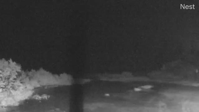 Big Pine Key Cam Eta (2020)