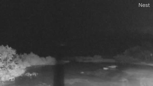 Big Pine Key Cam Eta (2020)