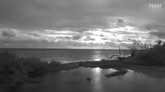 Big Pine Key Cam Eta (2020)