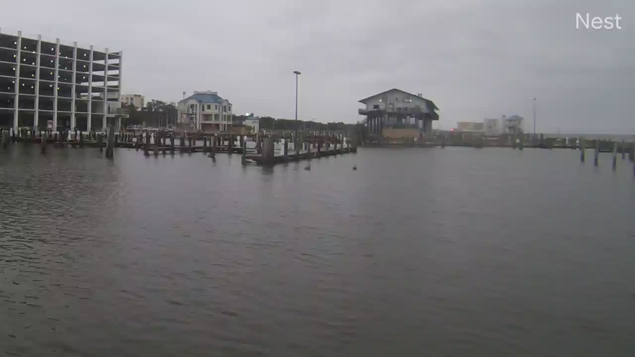 Hurricanetrack.com Cam 2 Biloxi Zeta (2020)