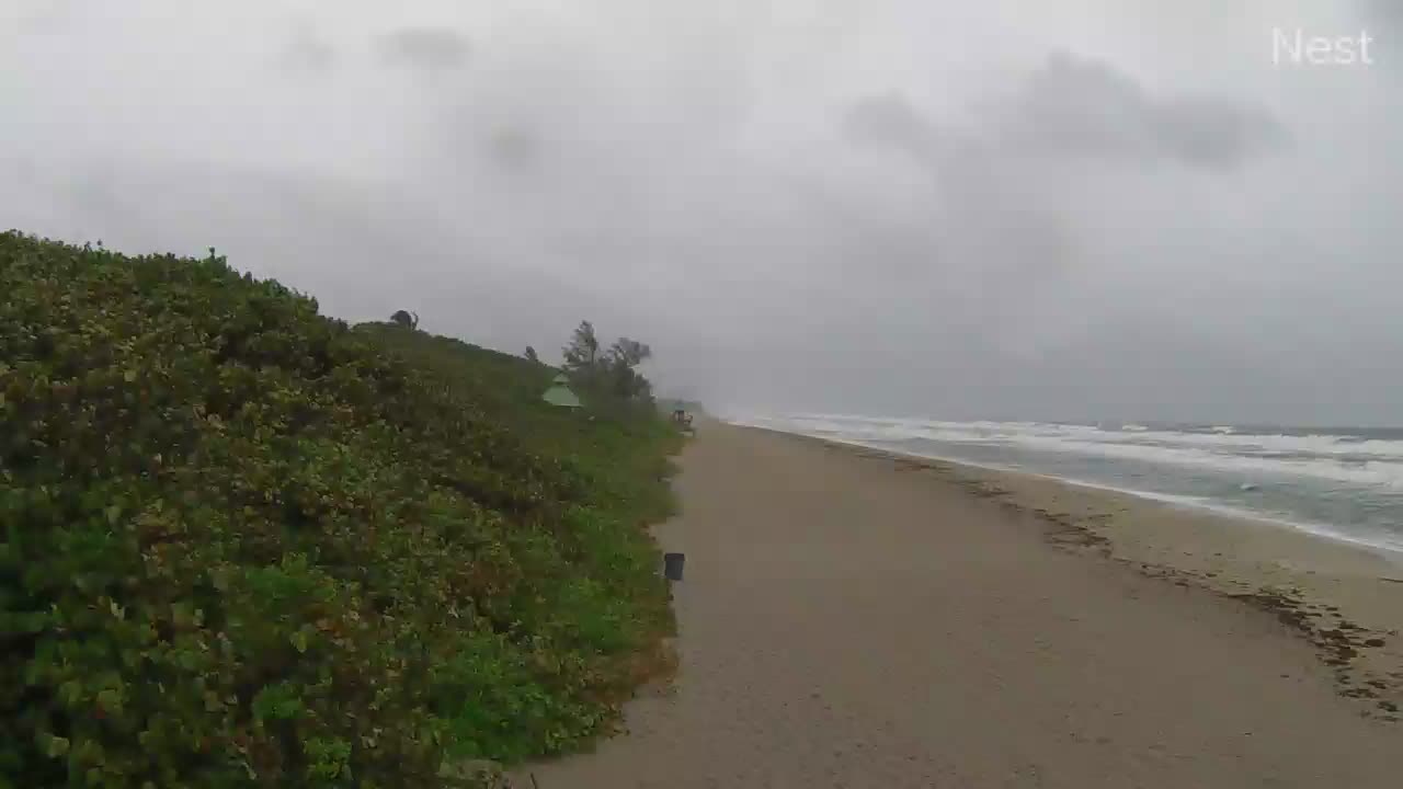 Boca Raton Cam Eta (2020)