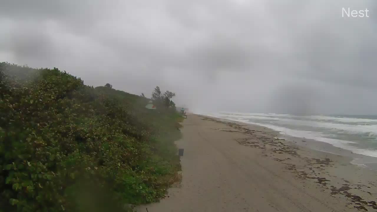 Boca Raton Cam Eta (2020)