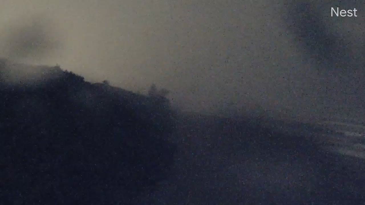 Boca Raton Cam Eta (2020)