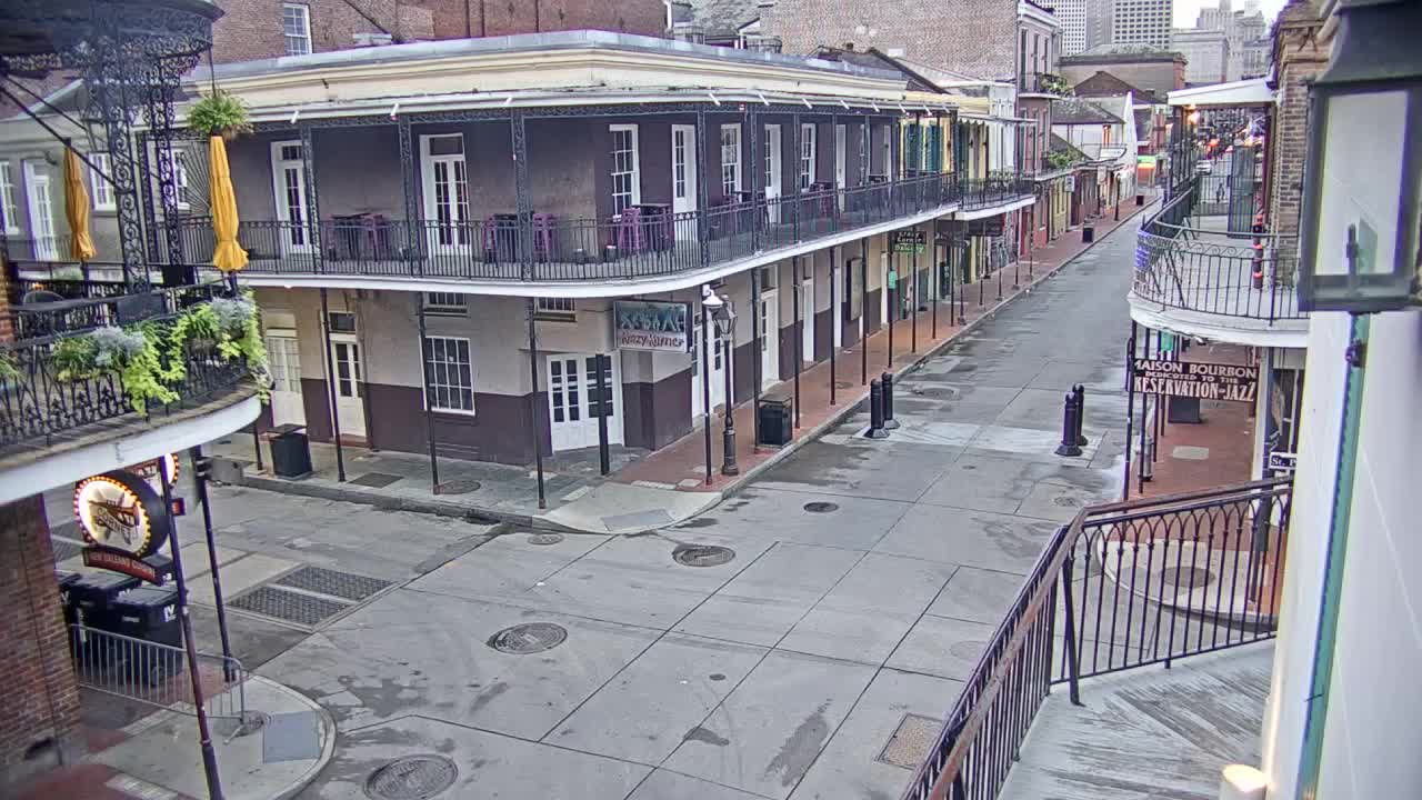 New Orleans Cats Meow Bourbon St Camera for Sally (2020)