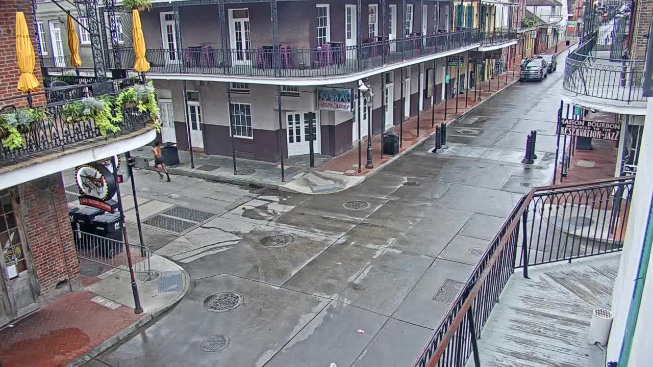 New Orleans Cats Meow Bourbon St Camera for Sally (2020)