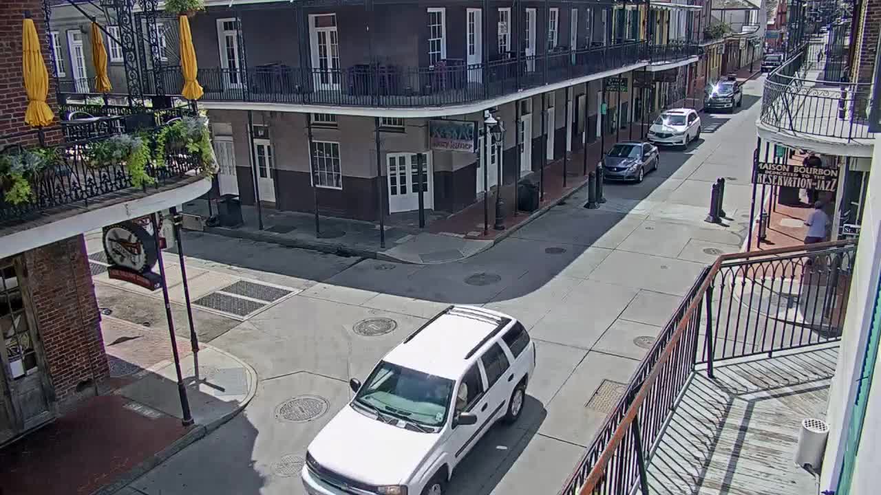 New Orleans Cats Meow Bourbon St Camera for Sally (2020)