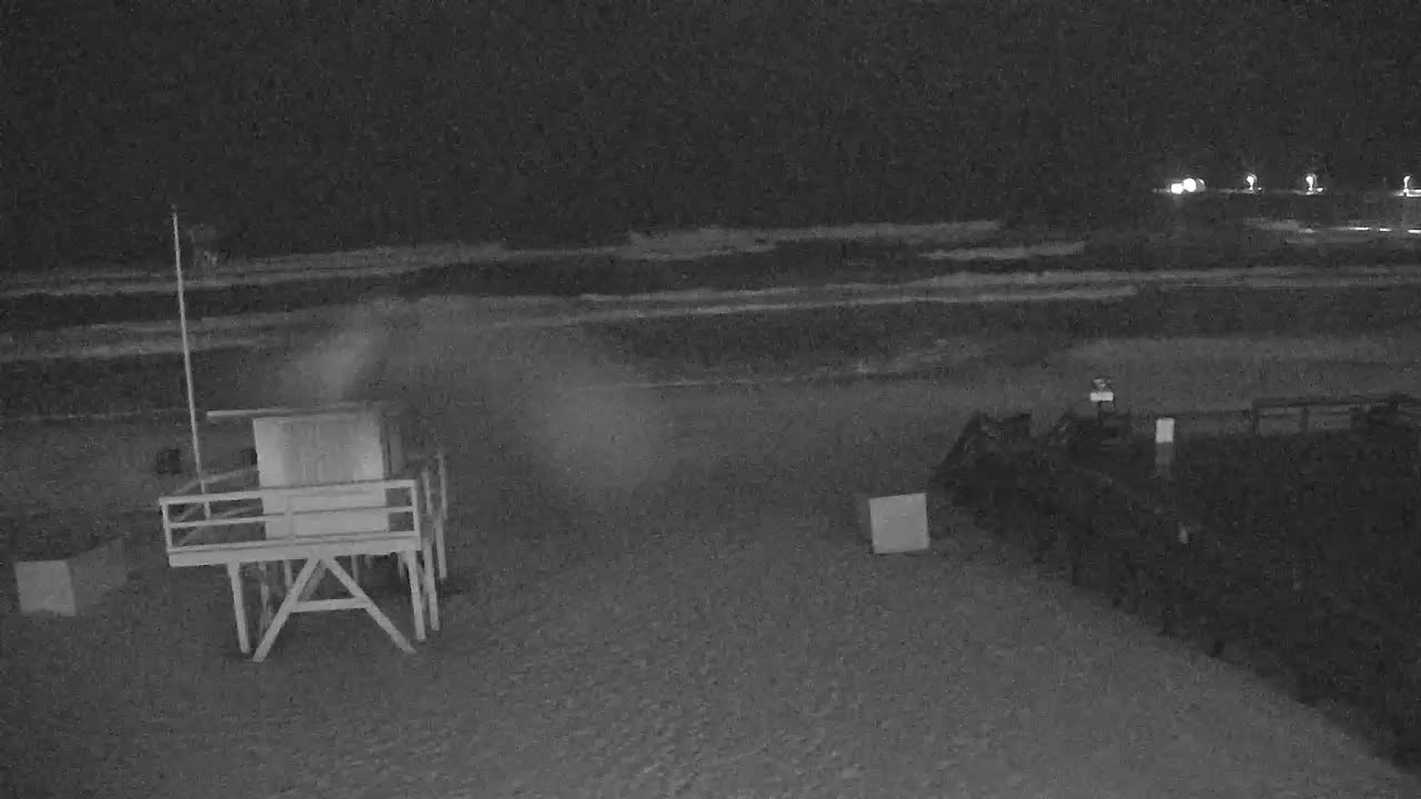 The Crab Trap Cam Destin/Okaloosa Island Sally (2020)
