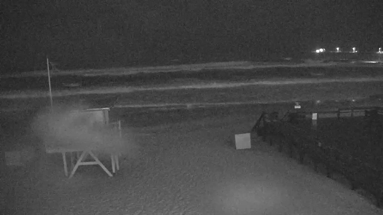 The Crab Trap Cam Destin/Okaloosa Island Sally (2020)