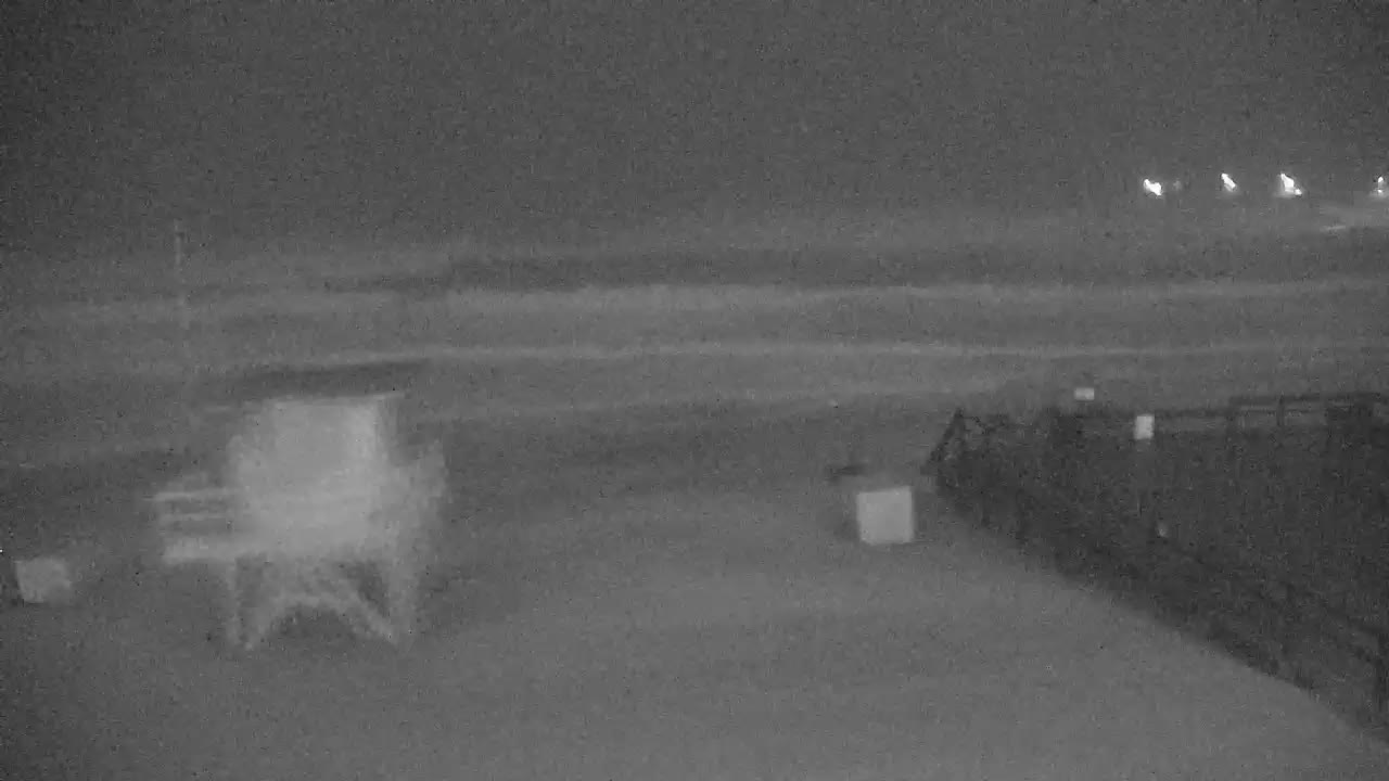 The Crab Trap Cam Destin/Okaloosa Island Sally (2020)