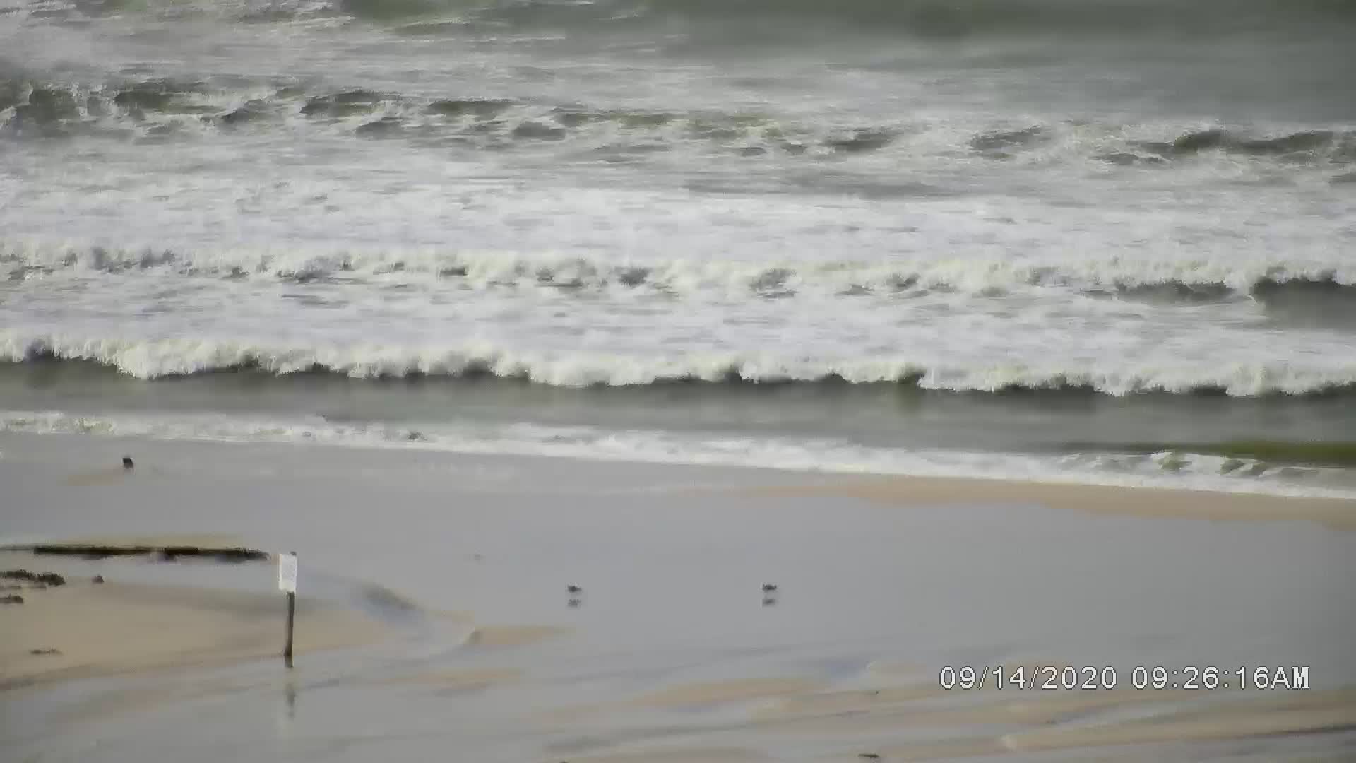 Dauphin Isle S View Holid Isle Cam Sally (2020)