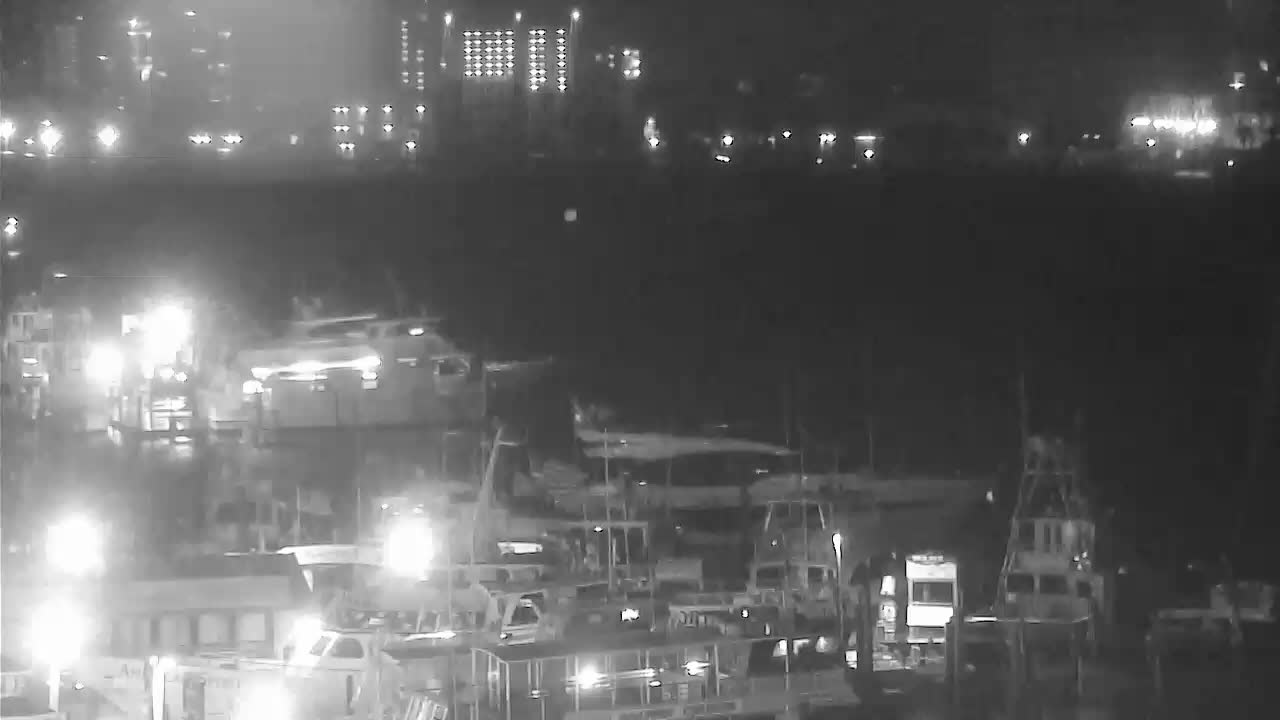 Destin Harbor Cam 2 Sally (2020)