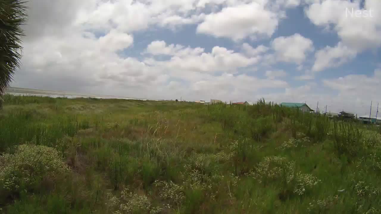 Grand Isle, LA Hurricane Track Cam 15 Recording Marco (2020)