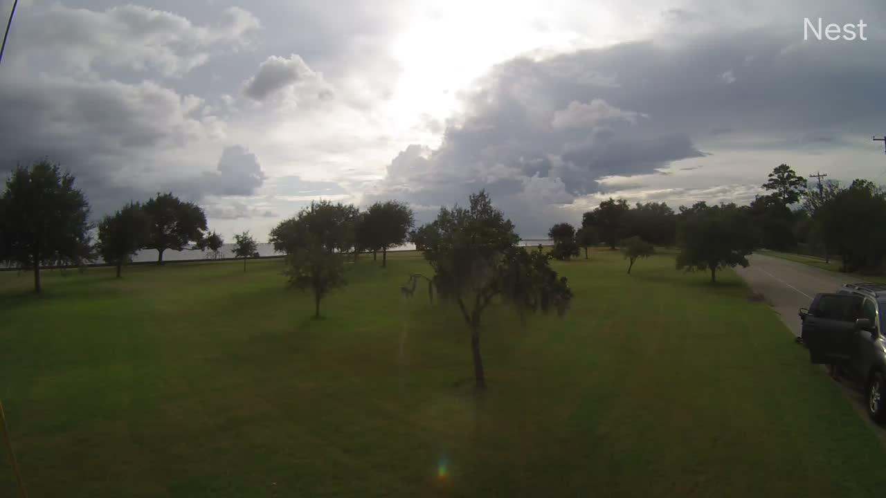 Mandeville, LA Hurricane Track Cam 14 Recording Marco (2020)