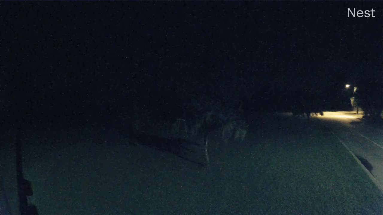 Mandeville, LA Hurricane Track Cam 14 Recording Marco (2020)