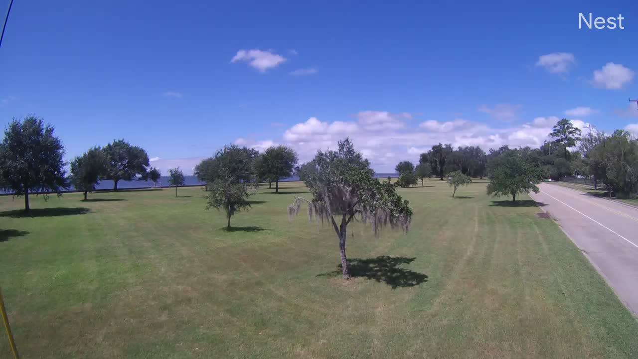 Mandeville, LA Hurricane Track Cam 14 Recording Marco (2020)