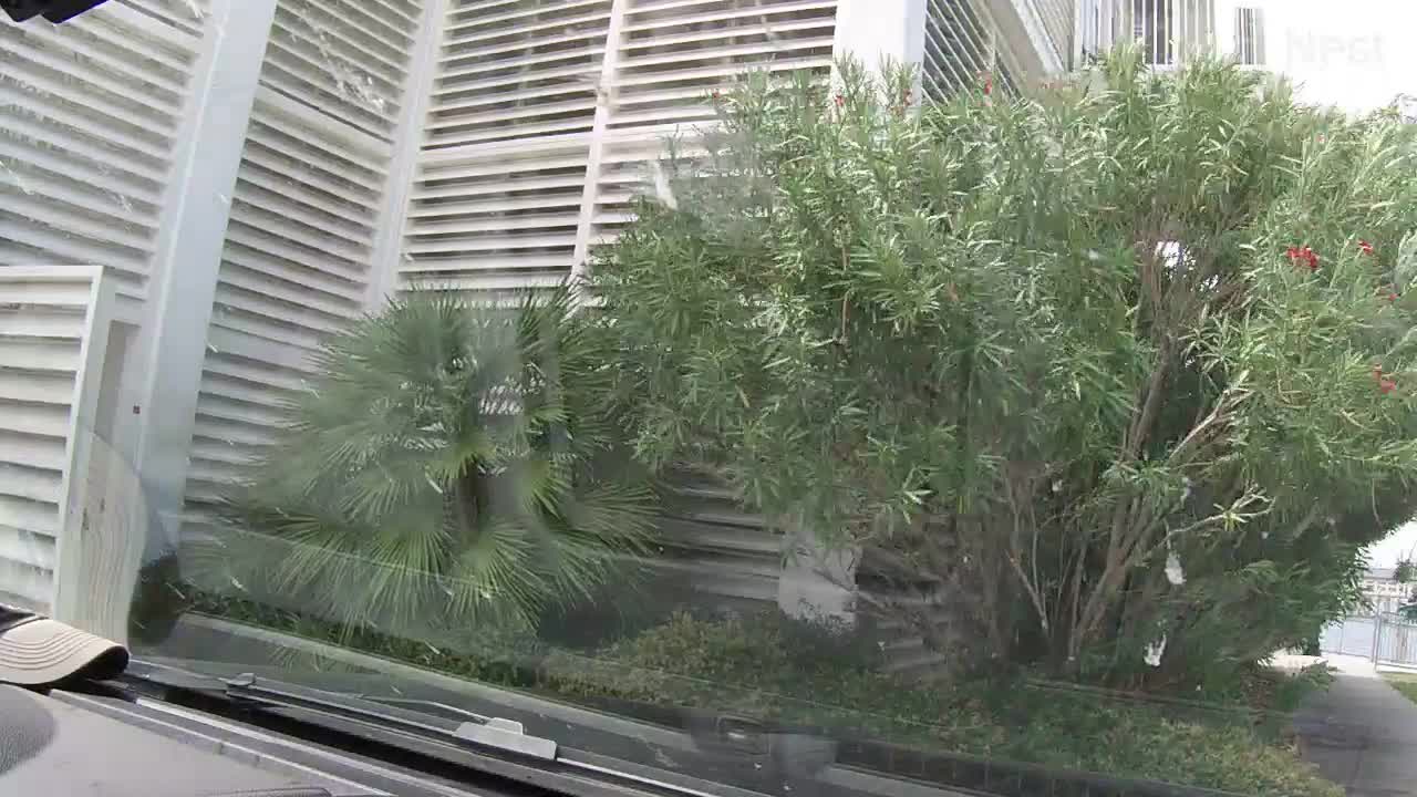 Hurricanetrack.com Mark Sudduth Vehicle Cam Sally (2020)