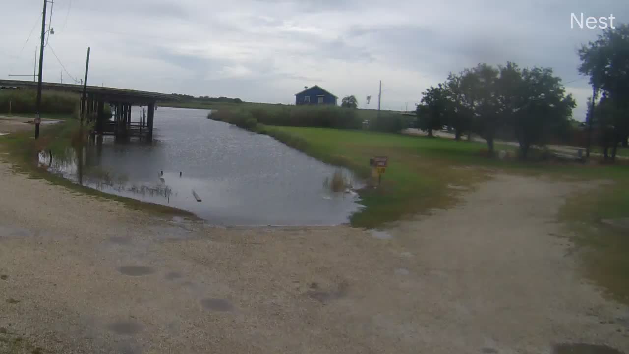 Hackberry, LA Hurricane Track Cam 7 Recording Laura (2020)