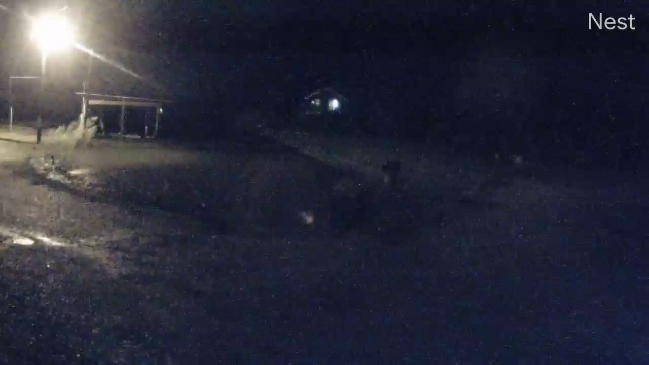 Hackberry, LA Hurricane Track Cam 7 Recording Laura (2020)