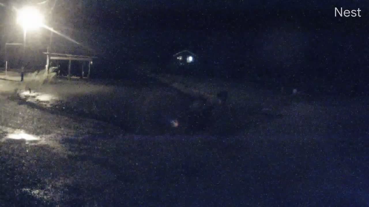 Hackberry, LA Hurricane Track Cam 7 Recording Laura (2020)
