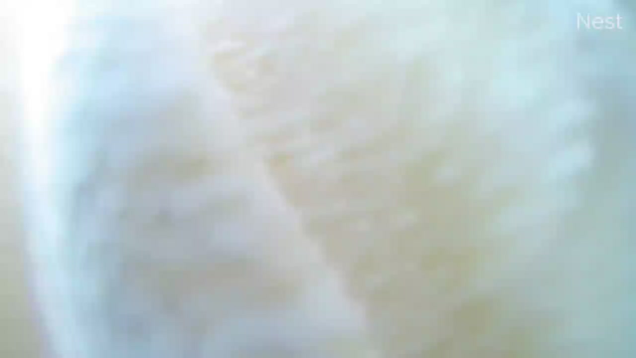 Key West Cam Eta (2020)