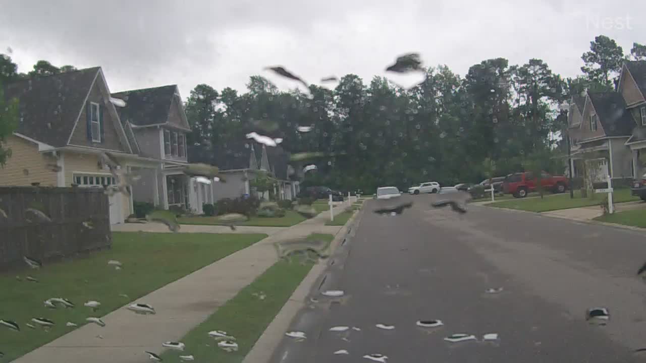 Hurricanetrack.com Mark Sudduth Vehicle Cam Isaias (2020)