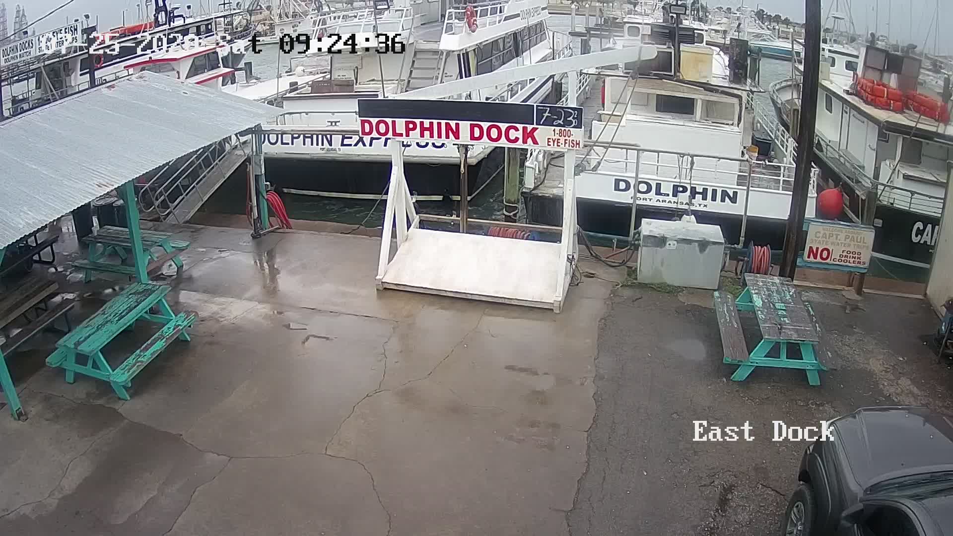 Port Aransas, TX Dolphin Dock Charters Webcam Recording Hanna (2020)