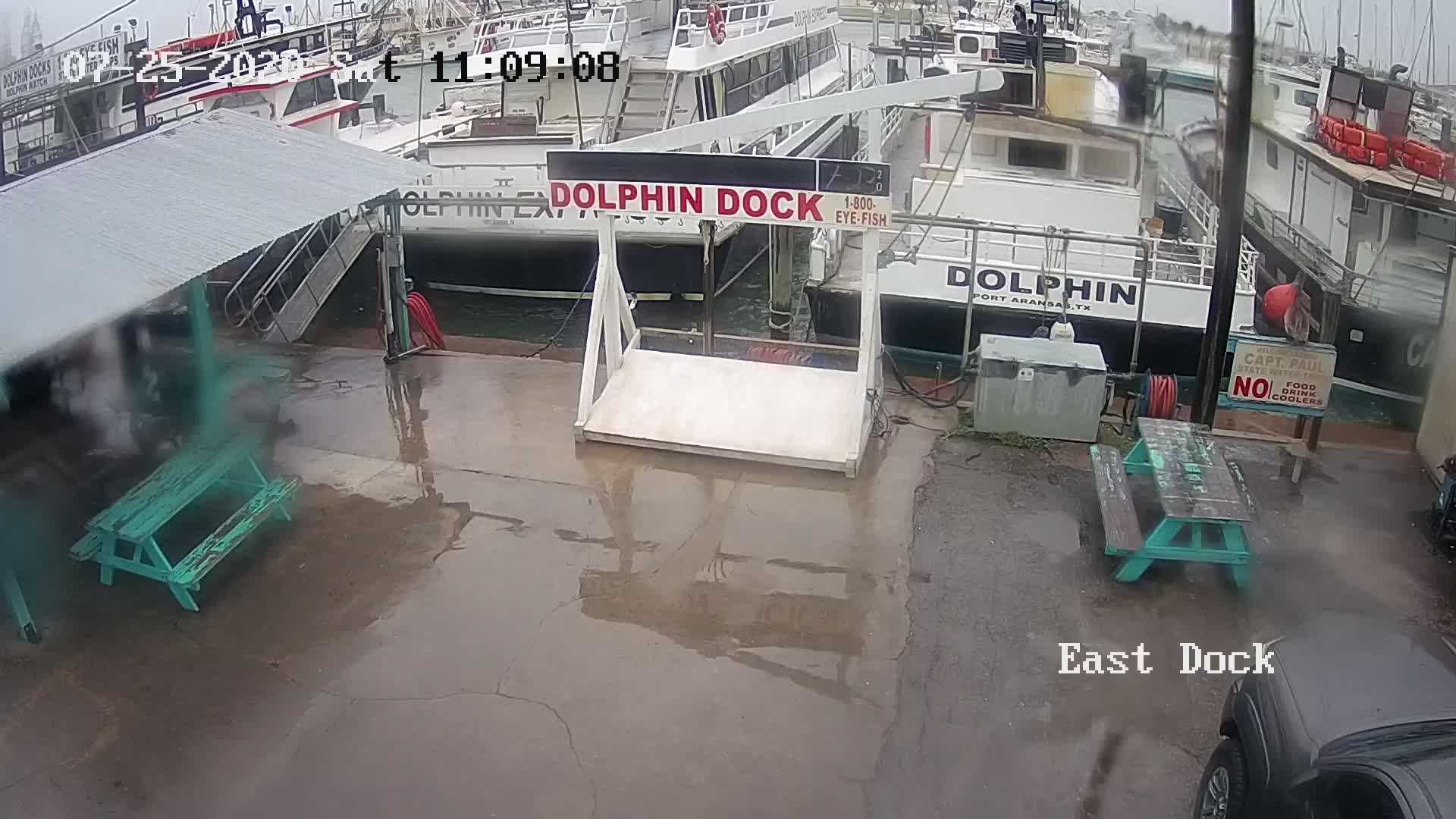 Port Aransas, TX Dolphin Dock Charters Webcam Recording Hanna (2020)