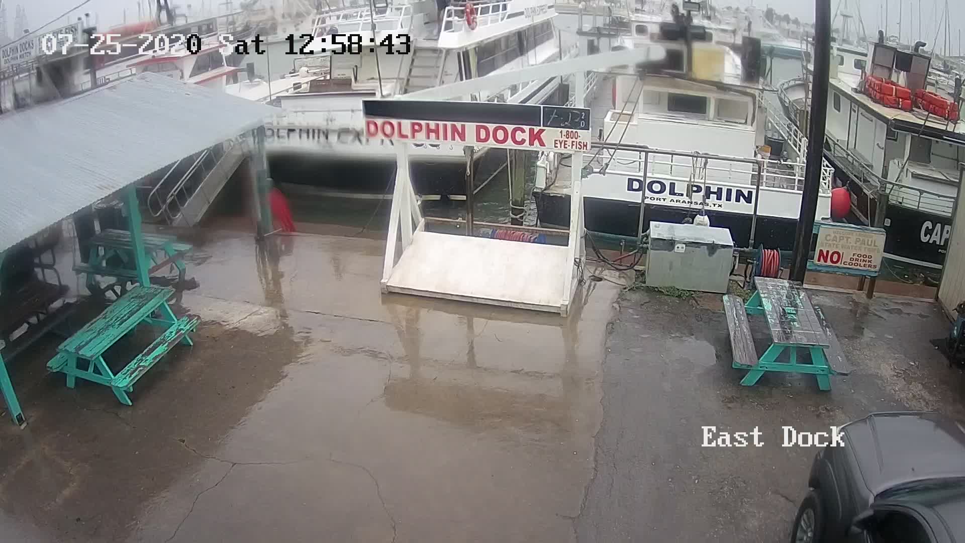 Port Aransas, TX Dolphin Dock Charters Webcam Recording Hanna (2020)
