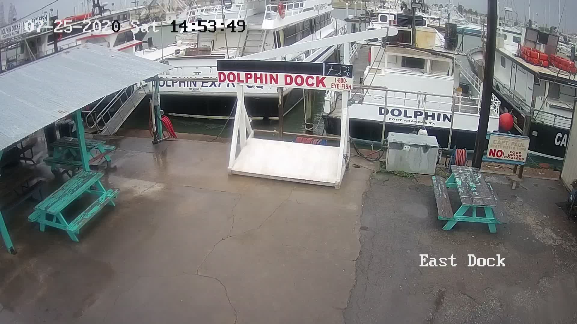 Port Aransas, TX Dolphin Dock Charters Webcam Recording Hanna (2020)