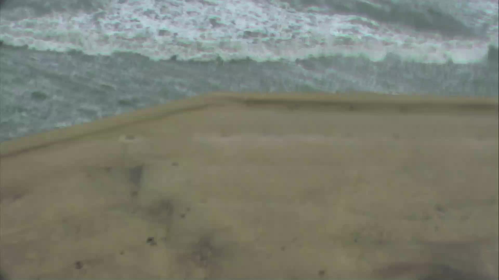 Port Aransas, TX Sea Gull Condo Recording Hanna (2020)