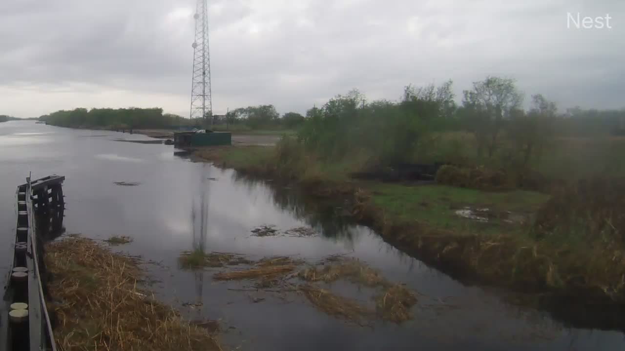 Hurricanetrack.com Pecan Island Cam Delta (2020)