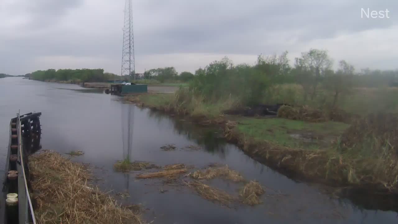 Hurricanetrack.com Pecan Island Cam Delta (2020)