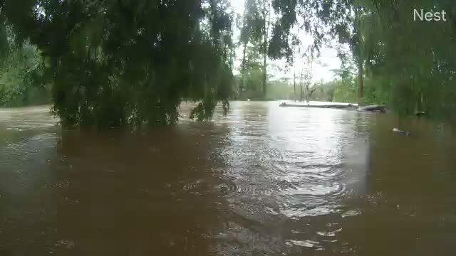 Cantonment, FL - Adventures Perdido River HurricaneTrack Cam 1 Recording Sally (2020)