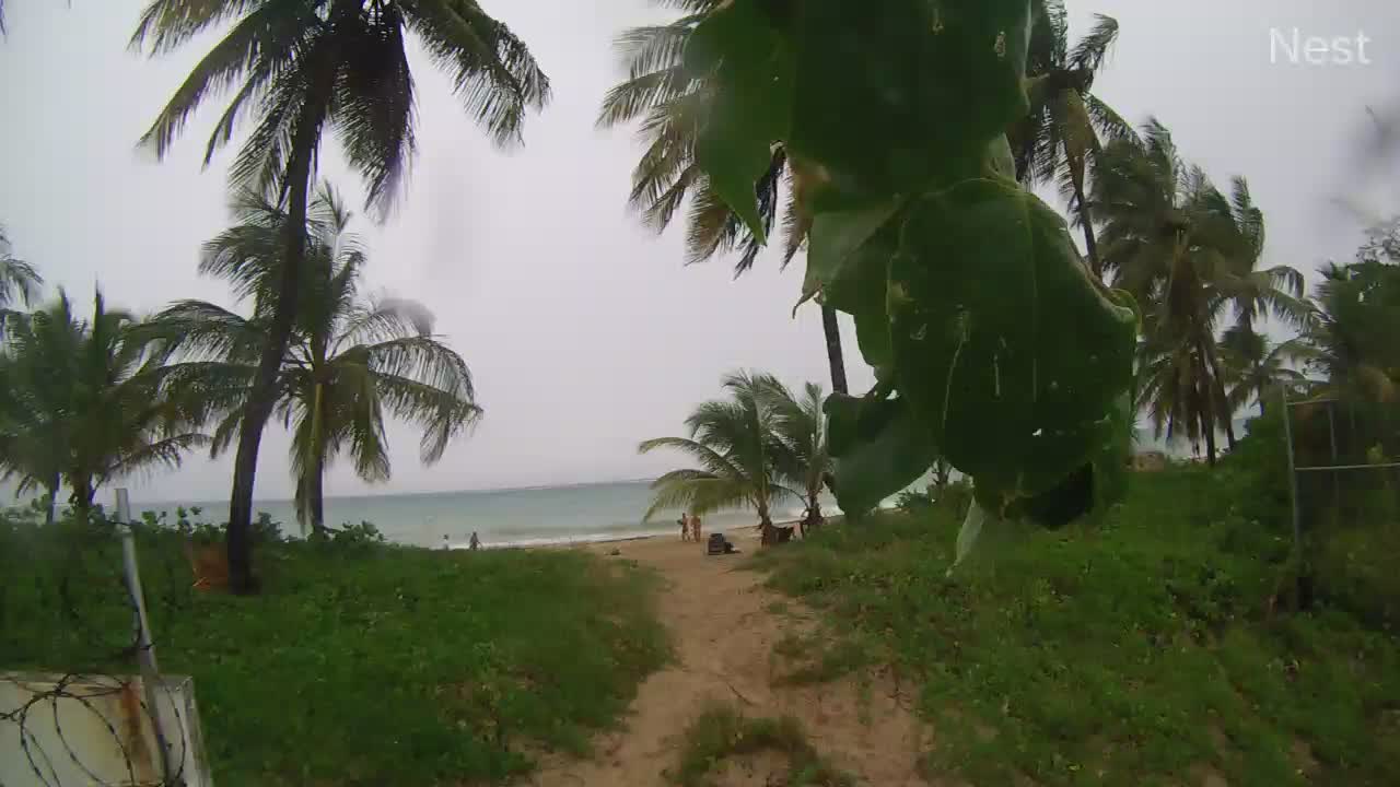 San Juan, PR Hurricane Track Cam 6 Recording Laura (2020)