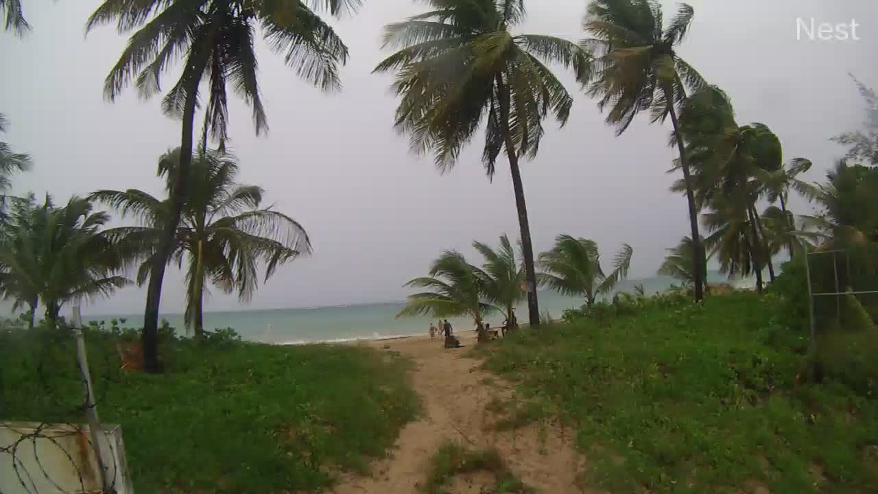 San Juan, PR Hurricane Track Cam 6 Recording Laura (2020)