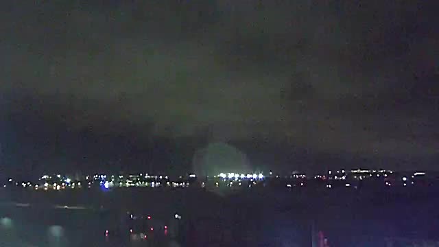 BIloxi Scarlet Pearl Cam Sally (2020)