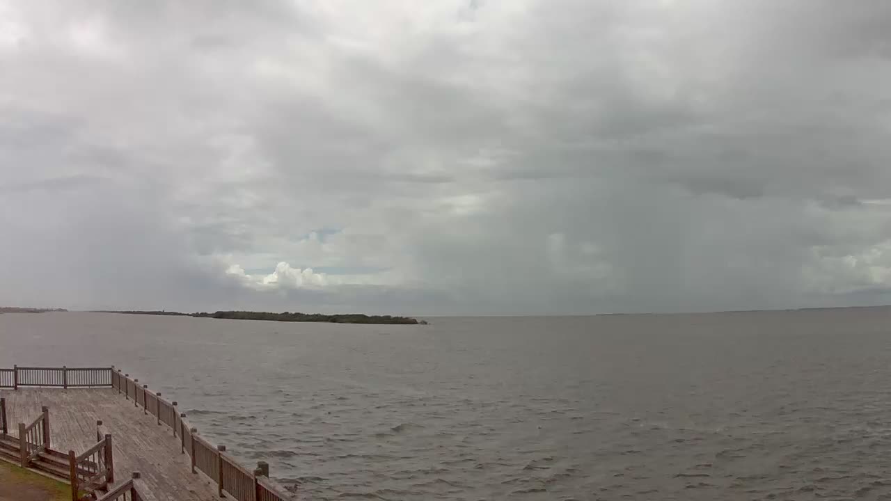 Bolivar Stingaree Restaurant Cam Recording Laura (2020)