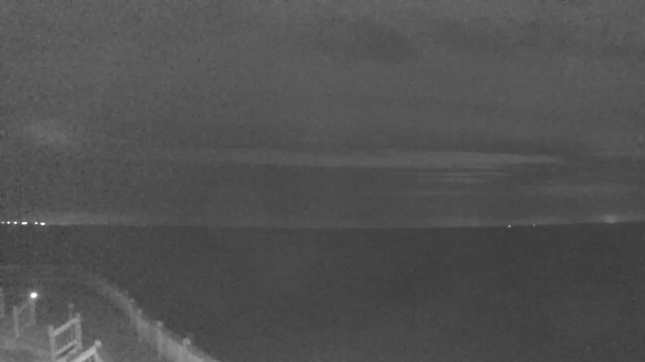 Bolivar Stingaree Restaurant Cam Recording Laura (2020)
